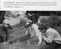 photograph 5