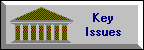 Key Issues