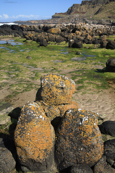 Giant's Causeway Photographs - Photo 24 of 75