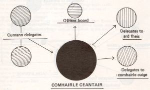 Comhairle ceantair structure